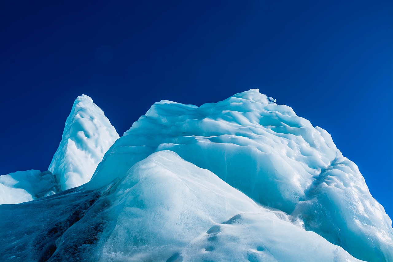 vx买卖：铂金平台代理